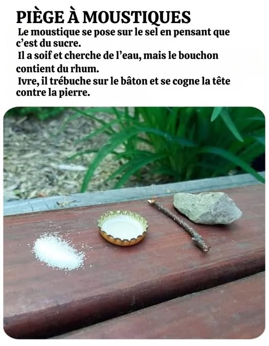 polemix's tweet image. Suivez moi pour plus d&apos;astuces 👍