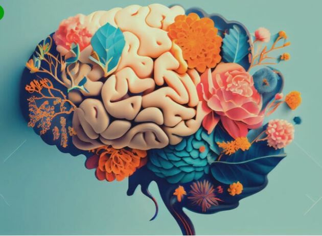 dlhampton's tweet image. 10 Quirky Things You Never Knew that You Needed to Know About Your Brain
👉 buff.ly/OnaShup
It’s #WorldBrainDay—a great time to celebrate the amazing, mysterious, and sometimes downright weird organ in your head! 🧠
This fun blog breaks down 10 surprising facts about…