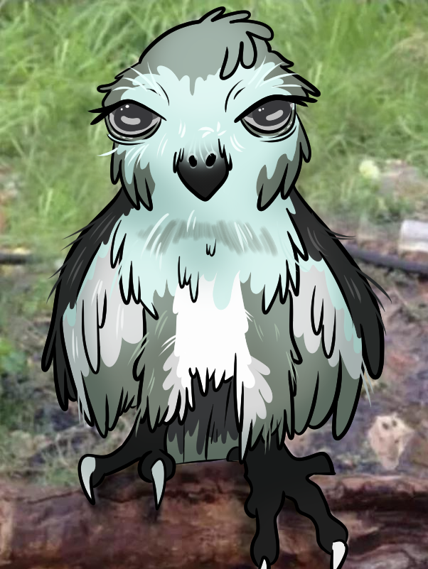 that's one soggy robin /SierraWuff