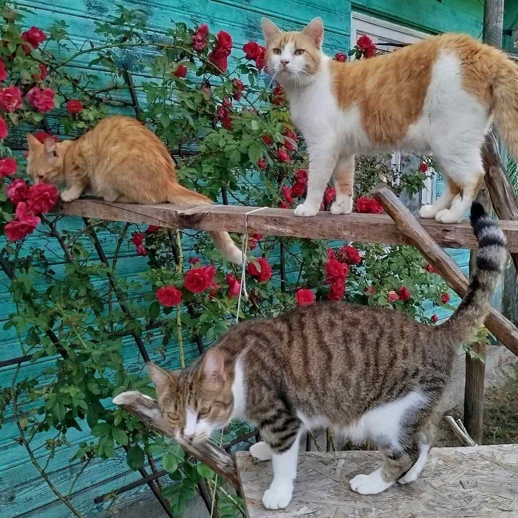 Красивое показываем..
