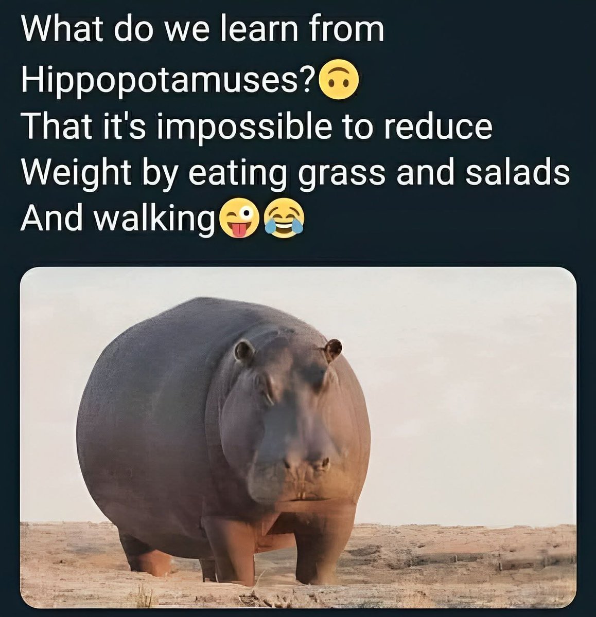 MASTERDOC25's tweet image. 