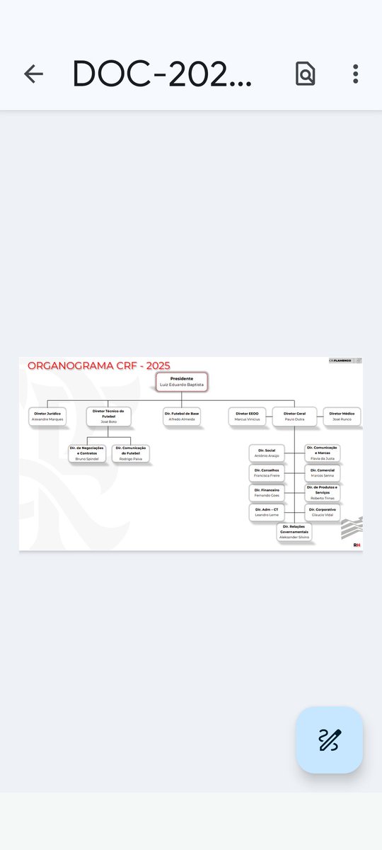 Na estrutura do clube, o Runco está embaixo do Diretor geral. Foi escolhido diretamente pelo BAP. Nessa aí o Boto escapou. 
#FORA_BOTO e agora, também, #FORA_RUNCO