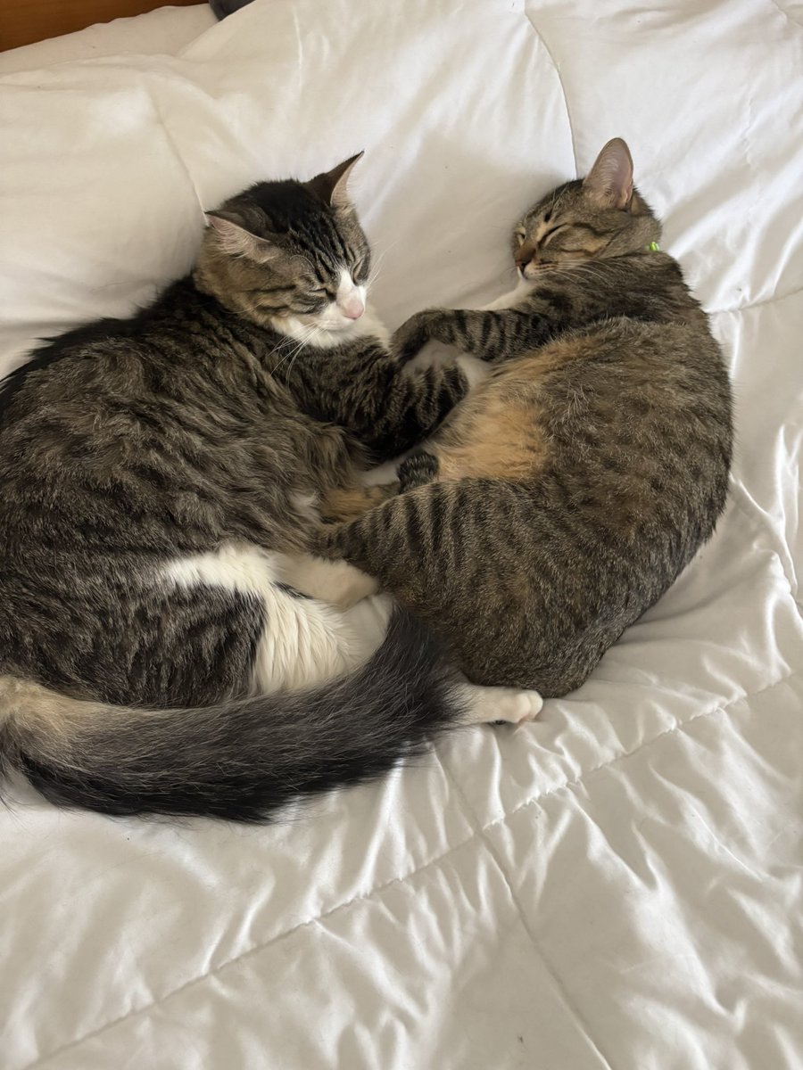 1:06 pm, uno trabajando como loco y este par siguen dormidos…son los patrones