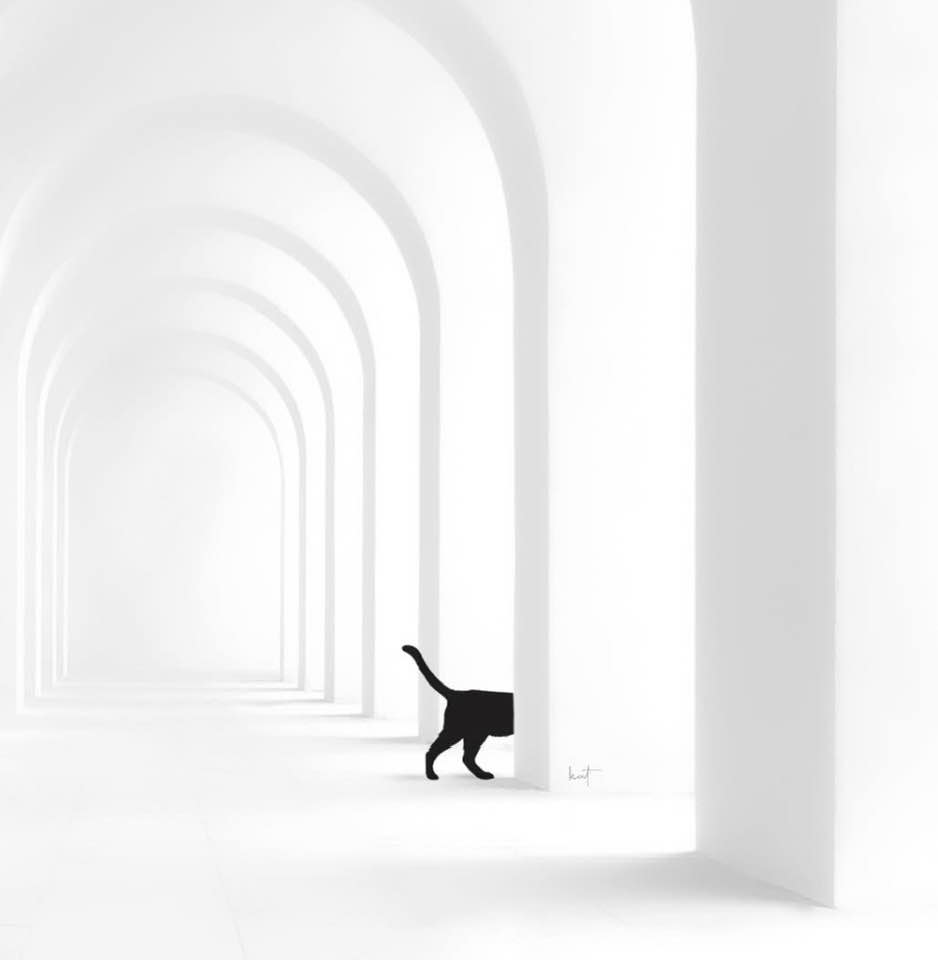 gregcatarino1's tweet image. The cause that creates, maintains, and nourishes superstition is fear.
(Baruch de Spinoza)
