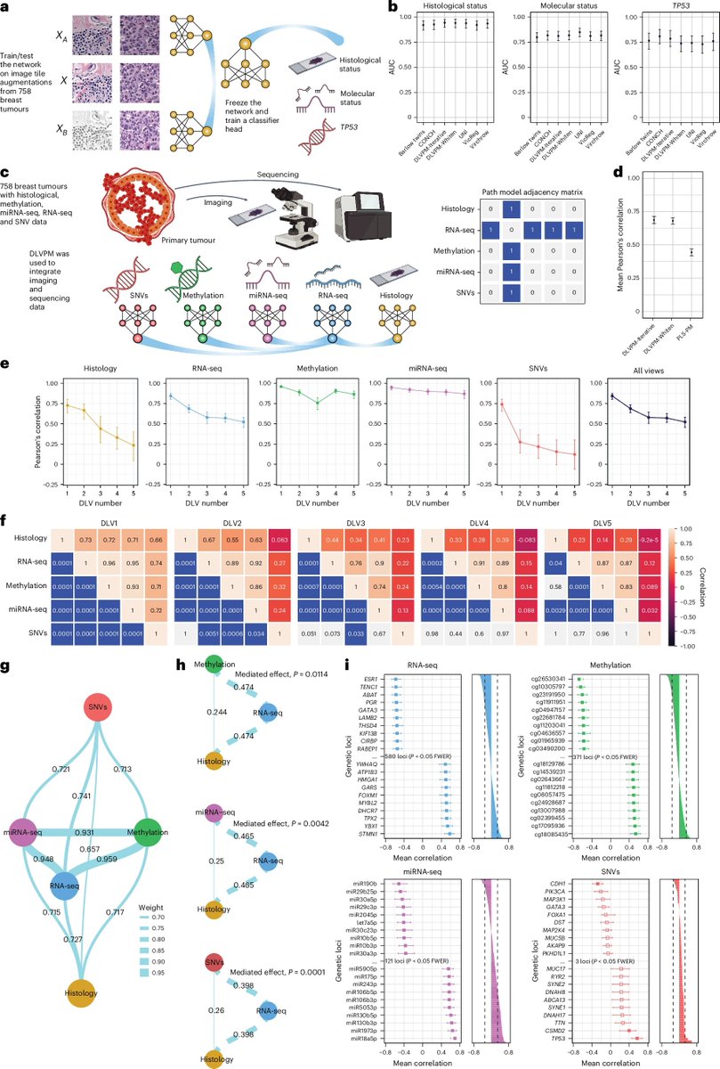 aipulserx's tweet image. Can deep learning unravel the complex interplay between genes, tissue images, and cancer outcomes?@NatMachIntell @EMBLHeidelberg
"Integrating multimodal cancer data using deep latent variable path modelling"
1. Cancer arises from highly complex interactions among genetic,…
