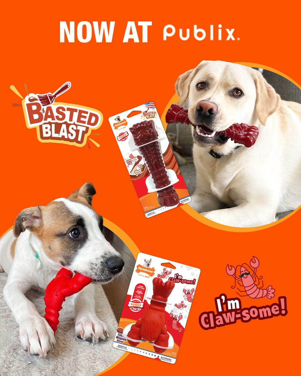 Delicious flavors. ✔️ Cute shapes. ✔️ Endless chew time fun. ✔️ Find 'em at <a href="/Publix/">Publix</a>!

#Nylabone #dogchewtoys #dogtoys #publix