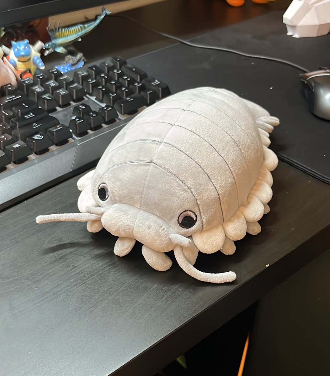 sneepsnorp3d's tweet image. the giant isopod plush giveaway already has 600+ entries 😀 y’all are amazing, i’m so glad you love him as much as i do!! 😭 reminder that youtooz will pick 3 winners friday, then the plushies go up for sale at 3 PM EST friday! :D