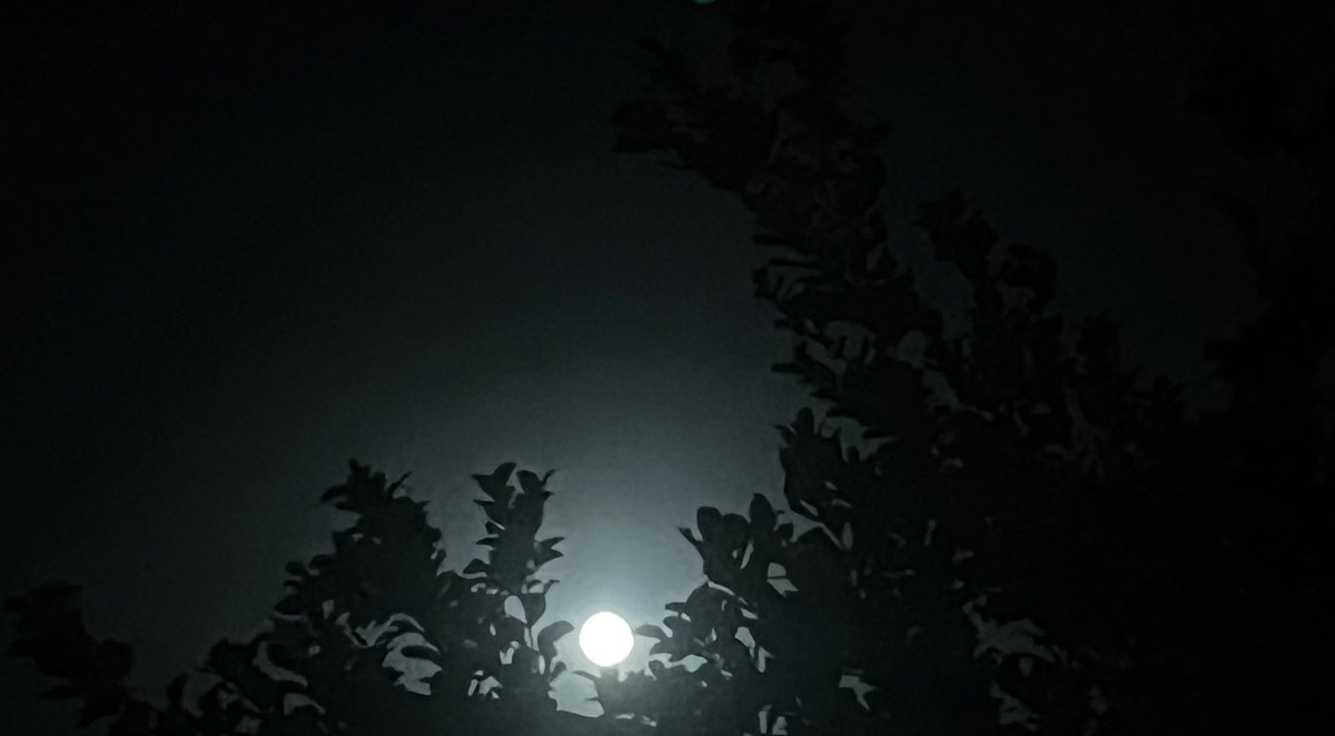 luhecatena's tweet image. You came like a light in my darkness, a warmth in my cold solitude.