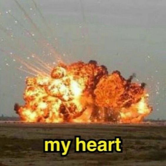 louisunshinerry's tweet image. The second I saw harry posted on his story i literally SCREAMED