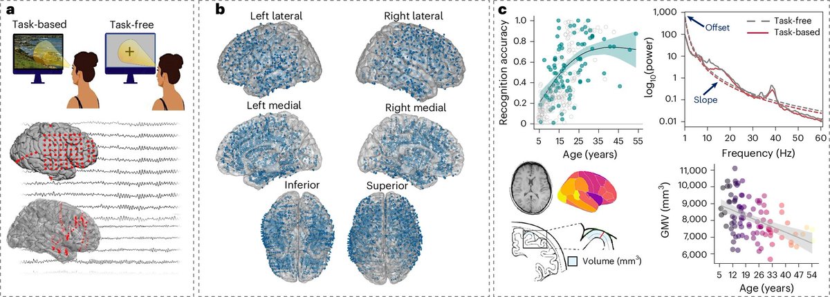 aipulserx's tweet image. Curious about how neural "noise" evolves as we grow, and how it might shape memory and cognition?@NatureHumBehav @NorthwesternU
"The development of aperiodic neural activity in the human brain"
1. The human brain matures over decades, yet how region-specific aperiodic…