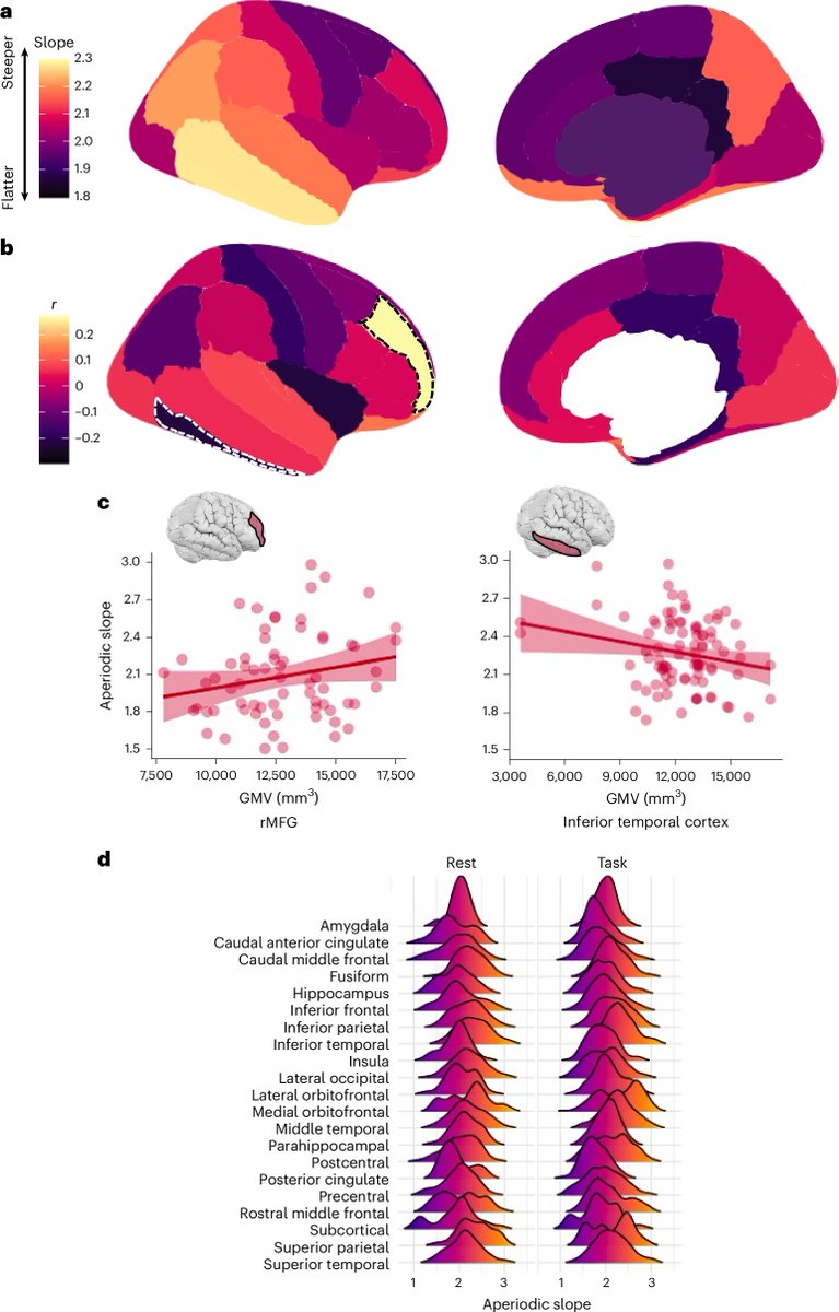 aipulserx's tweet image. Curious about how neural "noise" evolves as we grow, and how it might shape memory and cognition?@NatureHumBehav @NorthwesternU
"The development of aperiodic neural activity in the human brain"
1. The human brain matures over decades, yet how region-specific aperiodic…