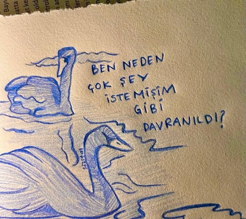 Kaliteli Alıntı (@kalitelialinti) on Twitter photo 