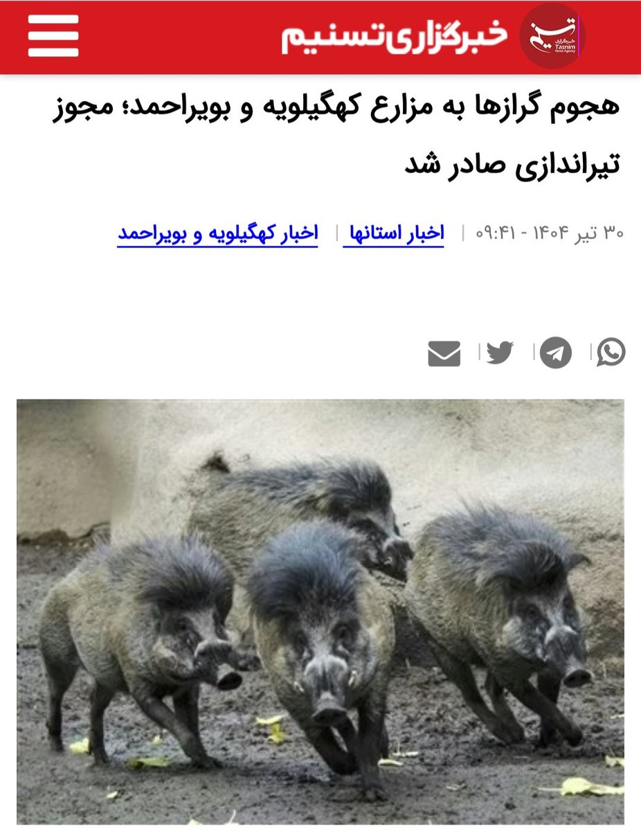Nickkhoo_arash's tweet image. از آنجایی که نهادهای نظارتی در وضعیت اراده قدرت قرار ندارند و توان نظارتی به معنای حقیقی وجود ندارد، چنین مجوزی به معنای نسلکشی گرازها است.