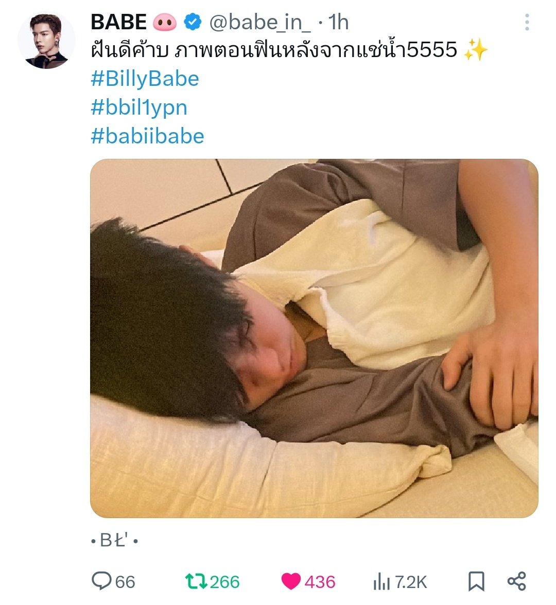 MUFU 🐺🐷💐 tweet media