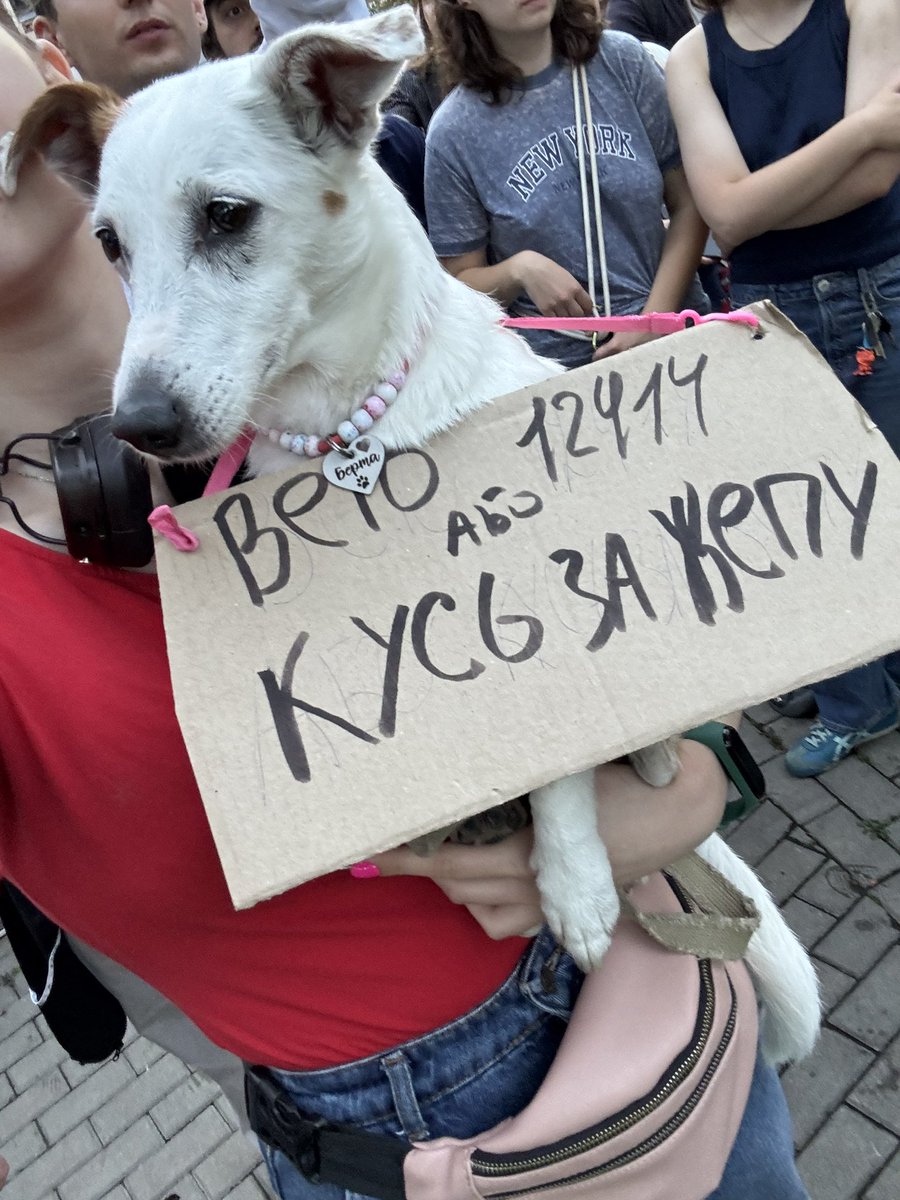 з усіх на реабілітацію 

send.monobank.ua/jar/Nr6AjKyqA