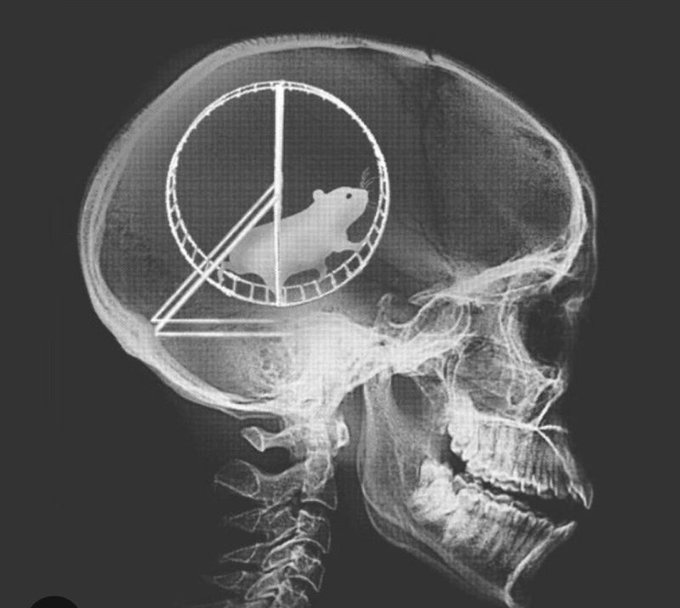 KnightsTempOrg's tweet image. 🙀Breaking: The typical brain of 'Civic Nationalists' exposed
We knew something was wrong with those dreamers, cowards and Godless half Patriots ✝️