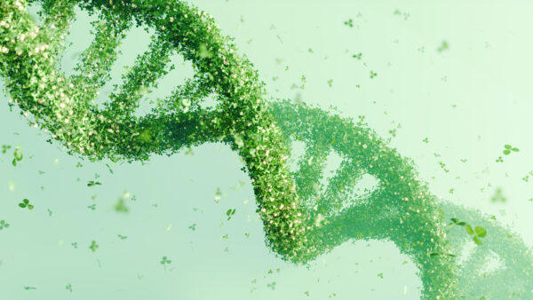 Jorge G. de Opazo 🚜 (@jorgegdeopazo) on Twitter photo Nace PubPlant, la base de datos que organiza y explora el genoma de las plantas 🧬💻
<a href="/fundacionantama/">Fundación Antama</a> 📲 fundacion-antama.org/nace-pubplant-… Nace PubPlant, la base de datos que organiza y explora el genoma de las plantas 🧬💻
<a href="/fundacionantama/">Fundación Antama</a> 📲 fundacion-antama.org/nace-pubplant-…