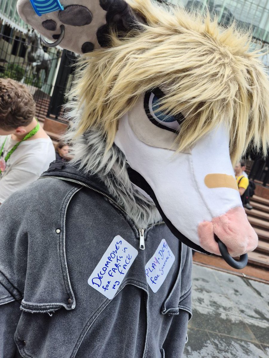 PocketPoss's tweet image. Ppl were sticking labels on me at the furmeet while I wasnβt looking,, possum BULLYING is SERIOUS π«©