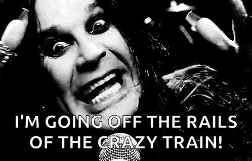 Johannes Kaiser tweet media