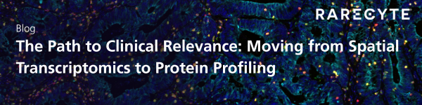 RareCyte's tweet image. Translational spatial biology enables you to progress from biomarker discovery to the development of clinically actionable panels that drive impactful patient outcomes.

Read our new blog to learn how to bridge the translational gap in spatial biology:
rarecyte.com/the-path-to-cl…