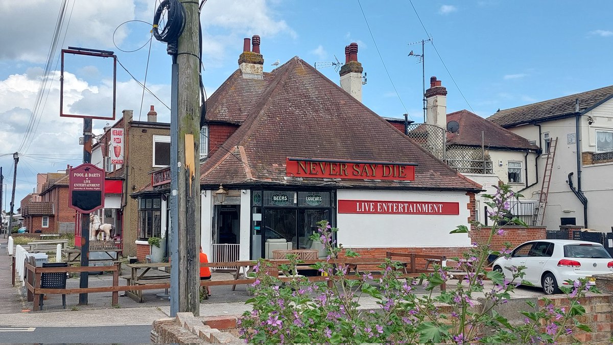 The Never Say Die, Jaywick. As local as it gets,two parrots,two dogs ,a large goldfish in a tank, more animals than customers on our visit! Entrance gate a bit tricky!No cask but a must if in the area. It's lost it's pub sign since our last visit! Hound on patrol from the settee!
