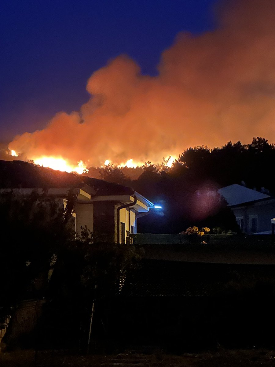 Çaresizlik… #izmir #urla #kuşçular #yanıyor #yangın