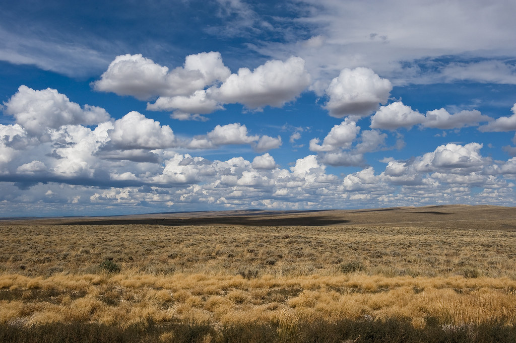 shagbark_hick's tweet image. The best "middle of nowhere" places are the ones where you can't figure out what the hell anyone does for work.
That's where the really nutty, wild-ass types of people are living. Largely broke, mostly lawless, and eccentric to a fault -- these are my people.
Of course, suchโฆ