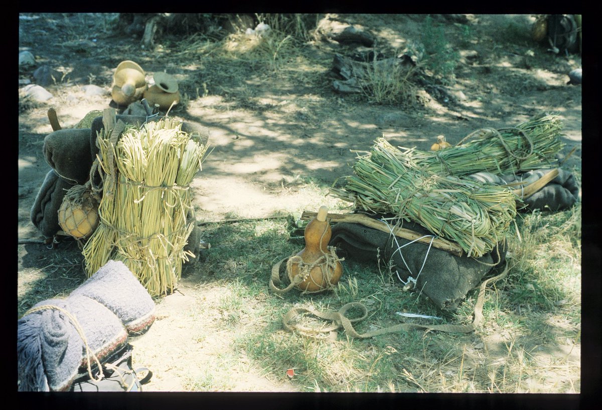 Scanned, 35 mm slide from my 30-day college primitive skills course, early 1990s. (Its now The Ultimate Abo course for my Aboriginal Living Skills School.) Willow packs, throwing sticks, cattail sleeping mats and gourd canteens were some of the few items allowed.
Stay safe! Cody
