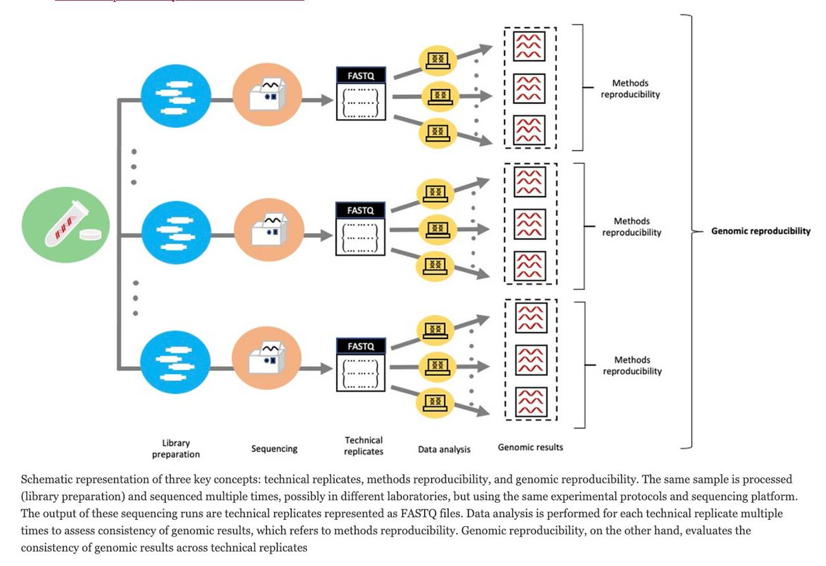strnr's tweet image. Genomic reproducibility in the bioinformatics era genomebiology.biomedcentral.com/articles/10.11…