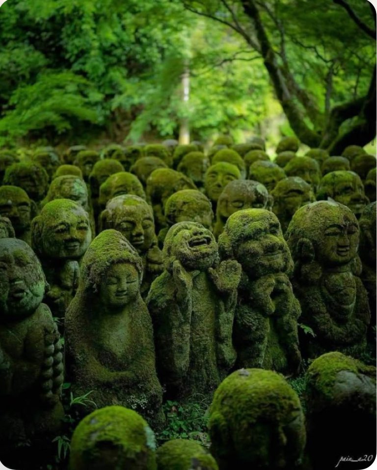 AlBlaineau's tweet image. Aux abords du temple Otagi-Nenbutsu-ji, près de Kyoto, se trouvent ces incroyables statues de Rakan, disciples de Bouddha