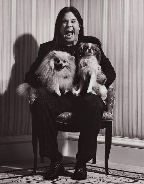 1StevieKilner's tweet image. Sex, drugs, more drugs, rock n roll and all stops in between for the crazy train that was Birmingham's foremost bonkers bat-taster in-chief, Ozzy Osbourne.
A character who did all he could to earn every bit of criticism & praise, in equal measure, and amen to that.
RIP Ozzy 🤘