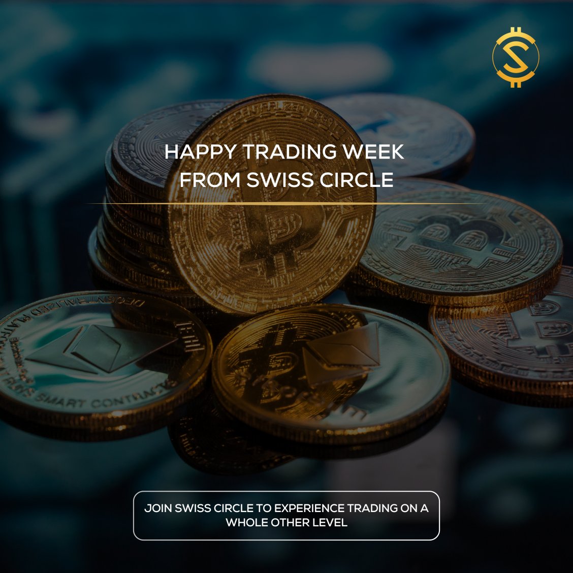 Swiss Circle (@swiss_circle) on Twitter photo Fresh levels, fresh mindset. Start the week like a pro, with Swiss Circle π Fresh levels, fresh mindset. Start the week like a pro, with Swiss Circle π