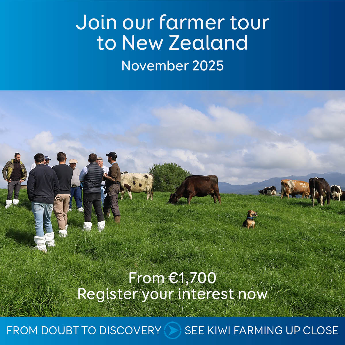 LIC Ireland tweet media