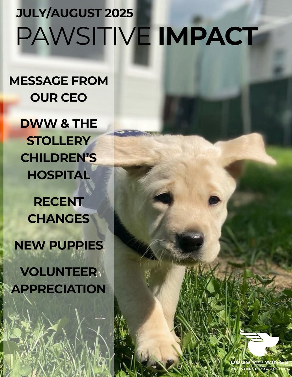 Did you know Dogs with Wings has a monthly newsletter? It’s your behind-the-scenes look at what’s new, what’s next, and all the incredible impact your support makes possible!

🐶 Read the full July/August edition here: dogswithwings.ca/helping-us/vol…

#dogswithwings #yegupdates