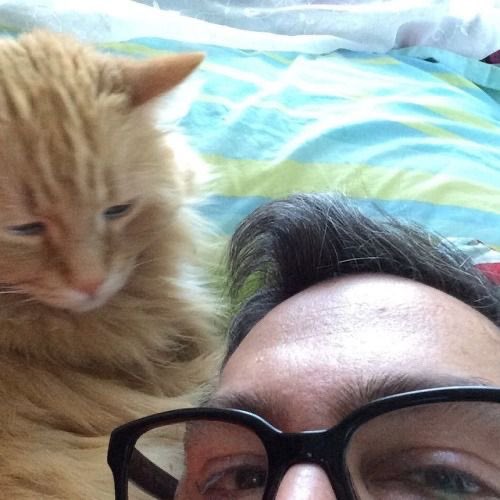 DailyFlansburgh's tweet image. Daily flans day 503!