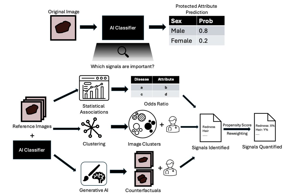aipulserx's tweet image. How can we uncover and measure the specific visual cues that AI models use to predict sensitive patient information like race and sex from medical images, a task even expert physicians find difficult?@medrxivpreprint @StanfordMed @UW
"DREAM: A framework for discovering…
