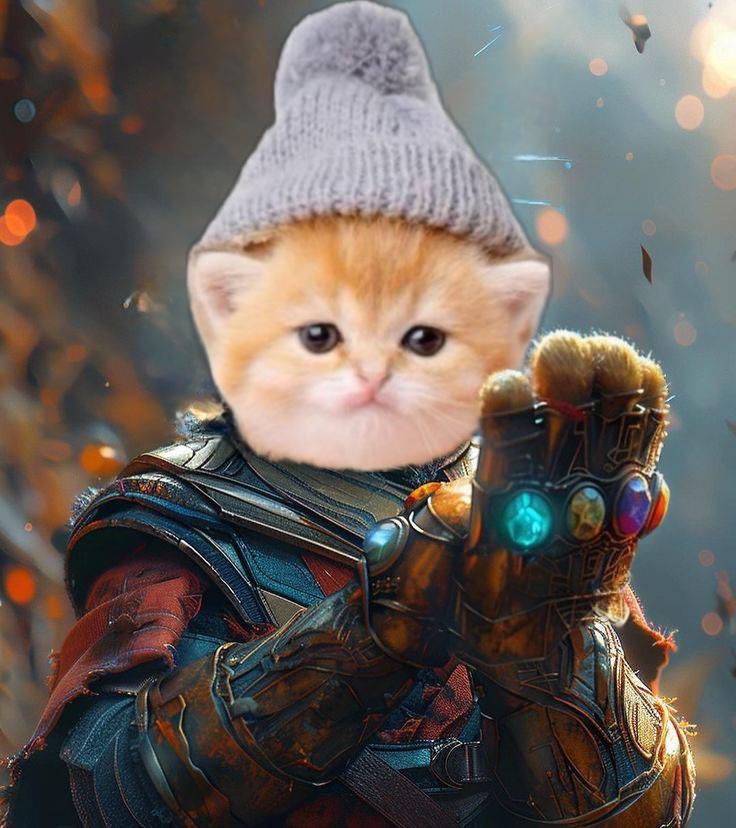 KWIFOG's tweet image. With one snap of my finger….i could become the greatest kitten to ever walk the universe….
Who am I kidding, I don’t have a single infinity stone 🤣
But this photo is dope