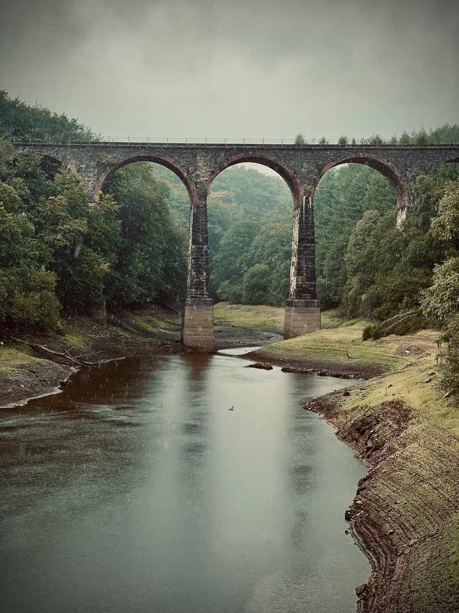 Will_Fuzz's tweet image. Slightly wet walk today but where is it?