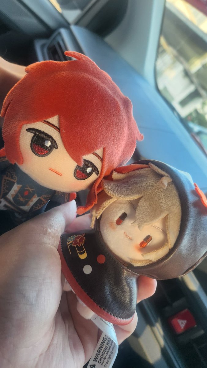 DailyDilukazu's tweet photo. The plushies arrived!! 
 Our little Nui Luc and Teru Zuha 💕✨️ 
-Parody

#Diluc
#KaedeharaKazuha
#Dilukazu
#GenshinImpact https://t.co/BvAojsjFr0
