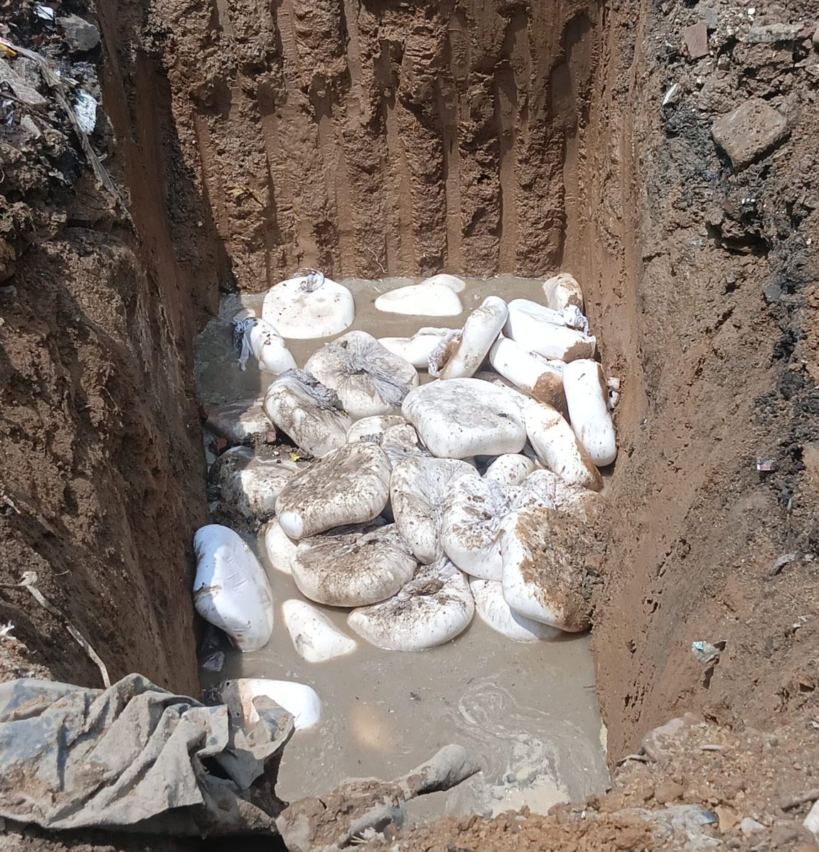 groundconnect_'s tweet image. आगरा में खाद्य सुरक्षा एवं औषधि प्रशासन ने करीब 8 क्विंटल पनीर जब्त किया। पनीर को खराब और उपभोग के लिए असुरक्षित पाया गया। नकली घी, पनीर व मावे पर ऐसी छापेमारी होती रहती है। लेकिन बड़ा सवाल ये है कि खाद्य वस्तुओं के नाम पर ये अवैध धंधे चल कैसे रहे हैं? @fssaiindia