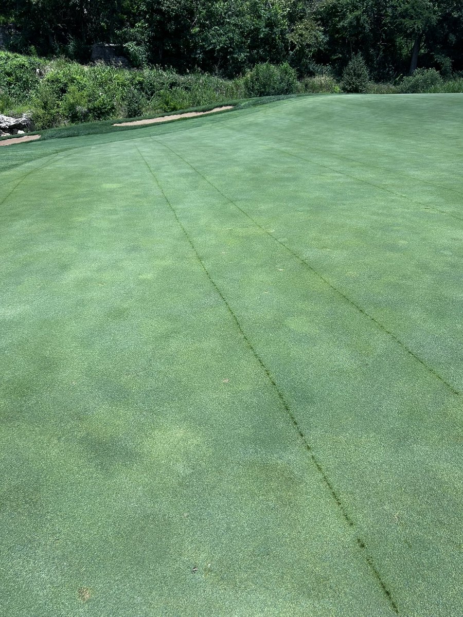 I’ve said it before.. ain’t always pretty stripes and green grass. This too shall pass! Will work in a verticut and topdress as the oil lines run their course.