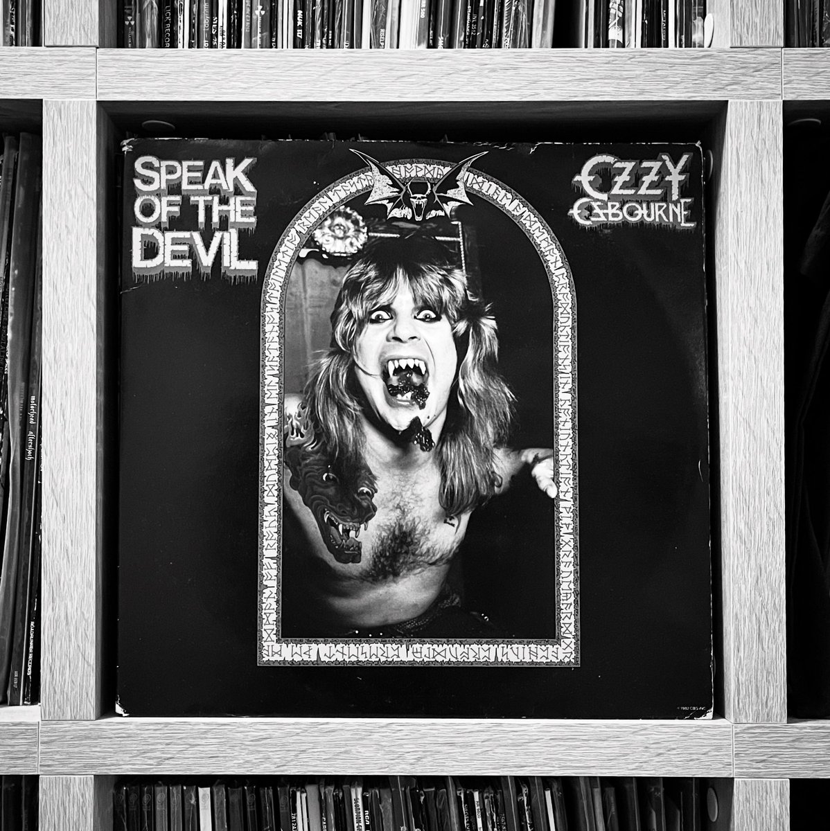 Tooobi_HH tweet media