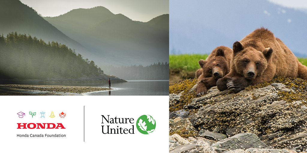 Innover pour l’avenir signifie parfois protéger le passé. C’est pourquoi nous soutenons Nature United dans sa mission de protéger les forêts matures en Colombie-Britannique. En savoir plus: bit.ly/45bTuOq