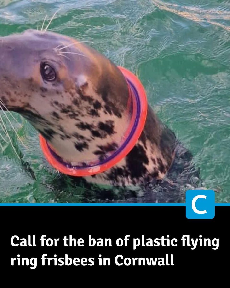 Cornwall Council will consider a motion asking shops to stop selling them and for the toys to be banned from beaches