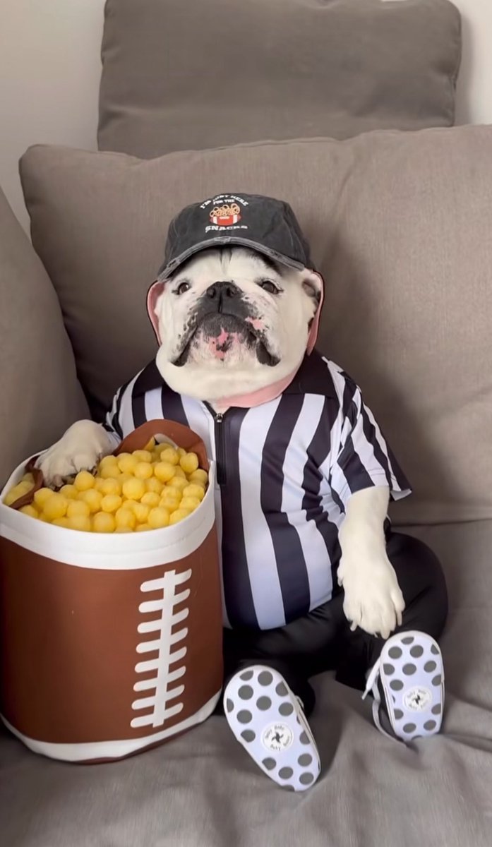 kookdblur's tweet photo. Why Isn't This Dog, Who Has 2M Followers on TikTok and 1.1M Followers on Instagram, in the Multi-Millions?

$EGGNOG is really crazy 

Banner looks really crazy

@theunipcs $EGGNOG Cute Than $KORI 

6bfKhSCLbFBZKsC5fdF52uaEUiMTwBJuVu6tKMSMbonk https://t.co/qrA7l0Kpil