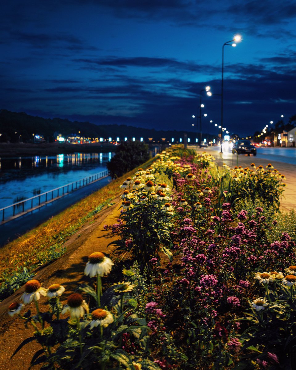 NejauNet's tweet image. #Kaunas #Lithuania #Lietuva #dronas #Mavic3 #mavic3pro #drone #kaunasaerial #vasara2025 #djimavic3pro #summer2025 #hasselblad #hasselbladdrone #miestogeles #cityflowers #naktis