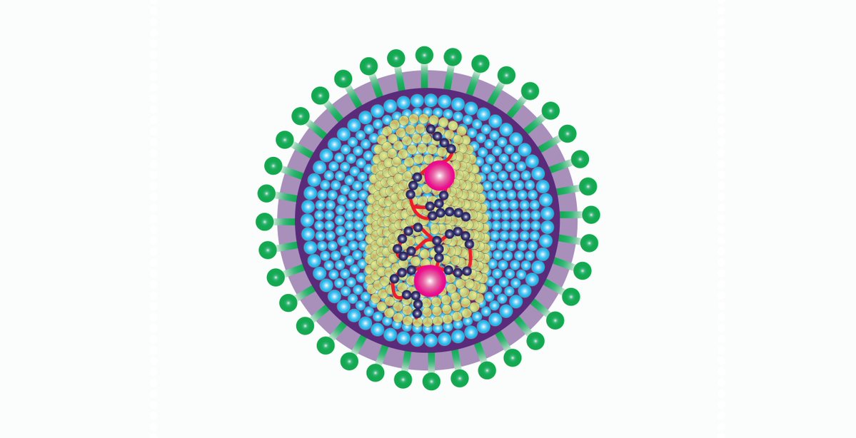 BodyPROHIV's tweet image. Real-world data from OPERA: CAB/rilpivirine led to viral suppression in 85% of viremic patients within 6 months. Dr. Ricky Hsu highlights promise beyond trials—including women, older adults &amp; those in the South. bit.ly/4514YmC #IAS2025 #HIVTreatment #LongActingART