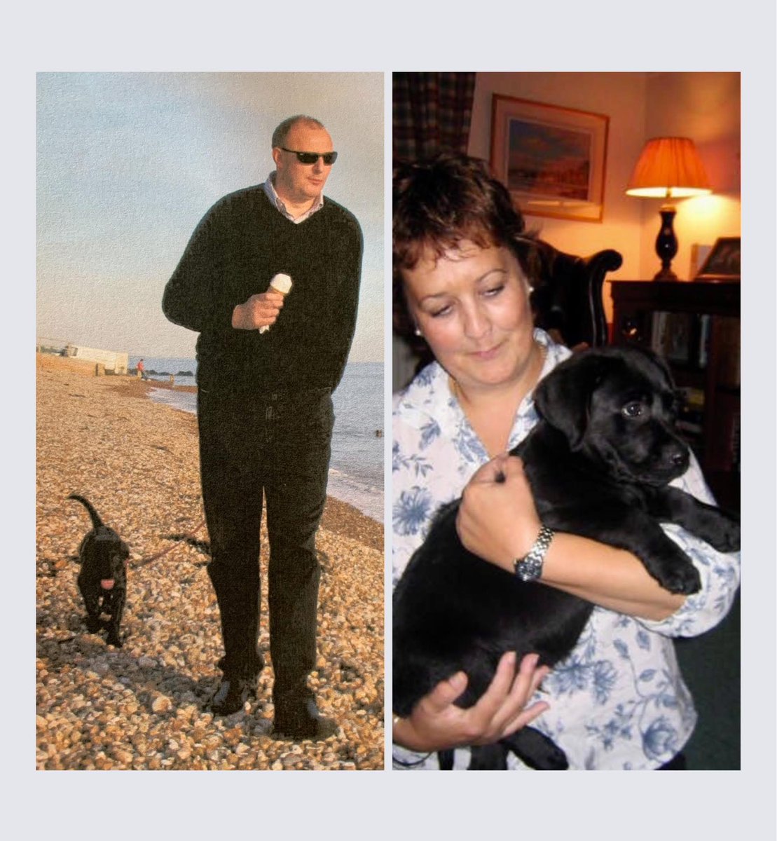 GillianSurgey's tweet image. Today is Jools Day.
Our lovely boy arrived 22nd July 2006 & departed on same date 2021. How lucky we were to have him for fifteen fabulous years.