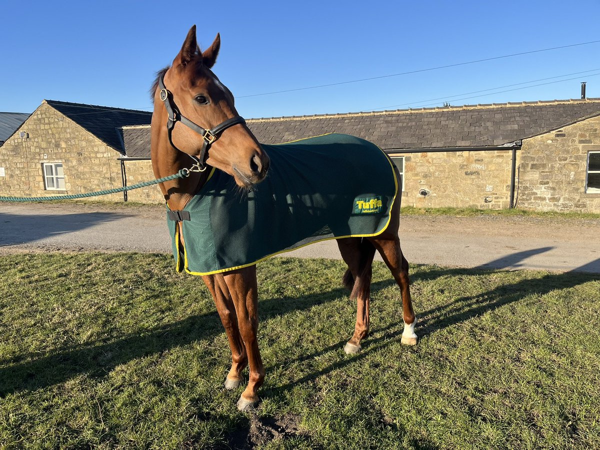 J Parkinson & S Smith Racing π (@jpandssracing) on Twitter photo We have one runner tomorrow at <a href="/LeicesterRaces/">Leicester Racecourse</a>
Freepic 7:00 1m2f π to be ridden by Paul Mulrennan
Best of luck to all the team and connections β We have one runner tomorrow at <a href="/LeicesterRaces/">Leicester Racecourse</a>
Freepic 7:00 1m2f π to be ridden by Paul Mulrennan
Best of luck to all the team and connections β