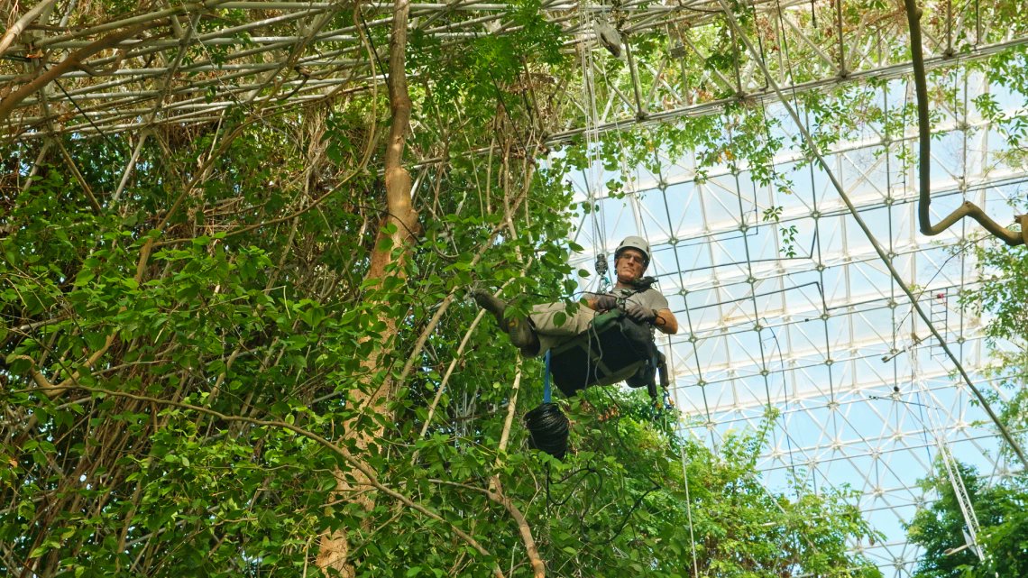 Just north Tucson, Biosphere 2 has grown from a ’90s oddity into a cutting-edge U of A climate lab! Today, researchers are studying how ecosystems respond to stressors such as coral bleaching and drought. See photos and learn more in this AZPM feature: npr.org/2025/07/07/nx-…